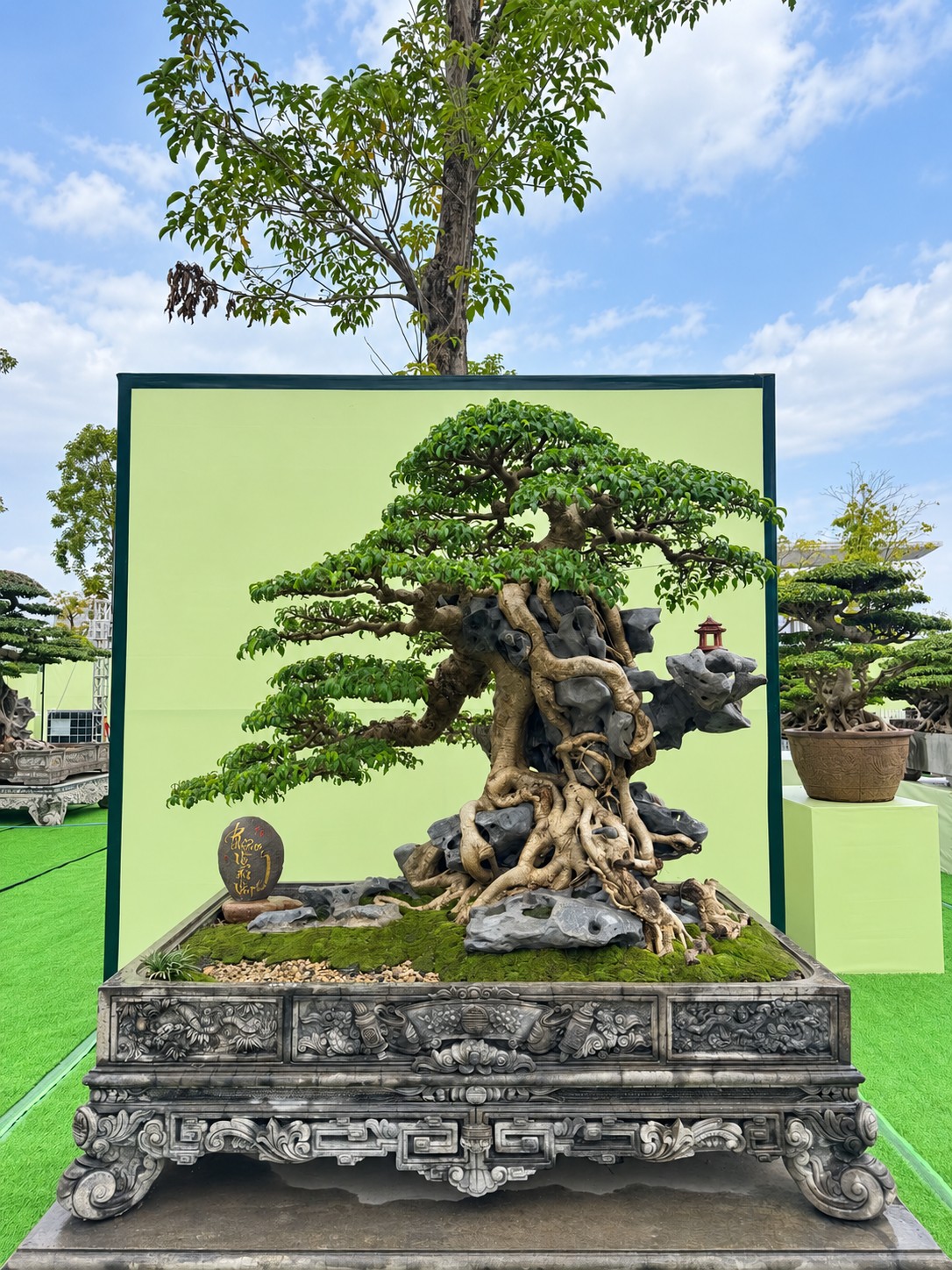 Sanh già hội tụ trong ngày đầu nhận cây tại Triển lãm Đông Anh