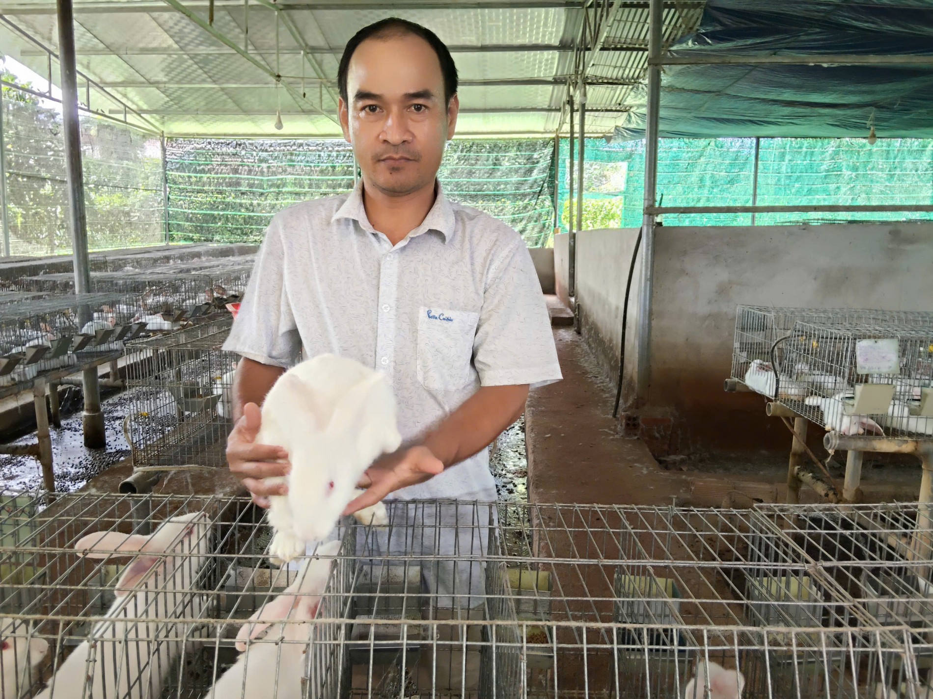 Trang trại thỏ Hòa Hội – Hành trình 6 năm vượt khó, giữ nghề Trang trại thỏ Hòa Hội – Hành trình 6 năm vượt khó, giữ nghề
