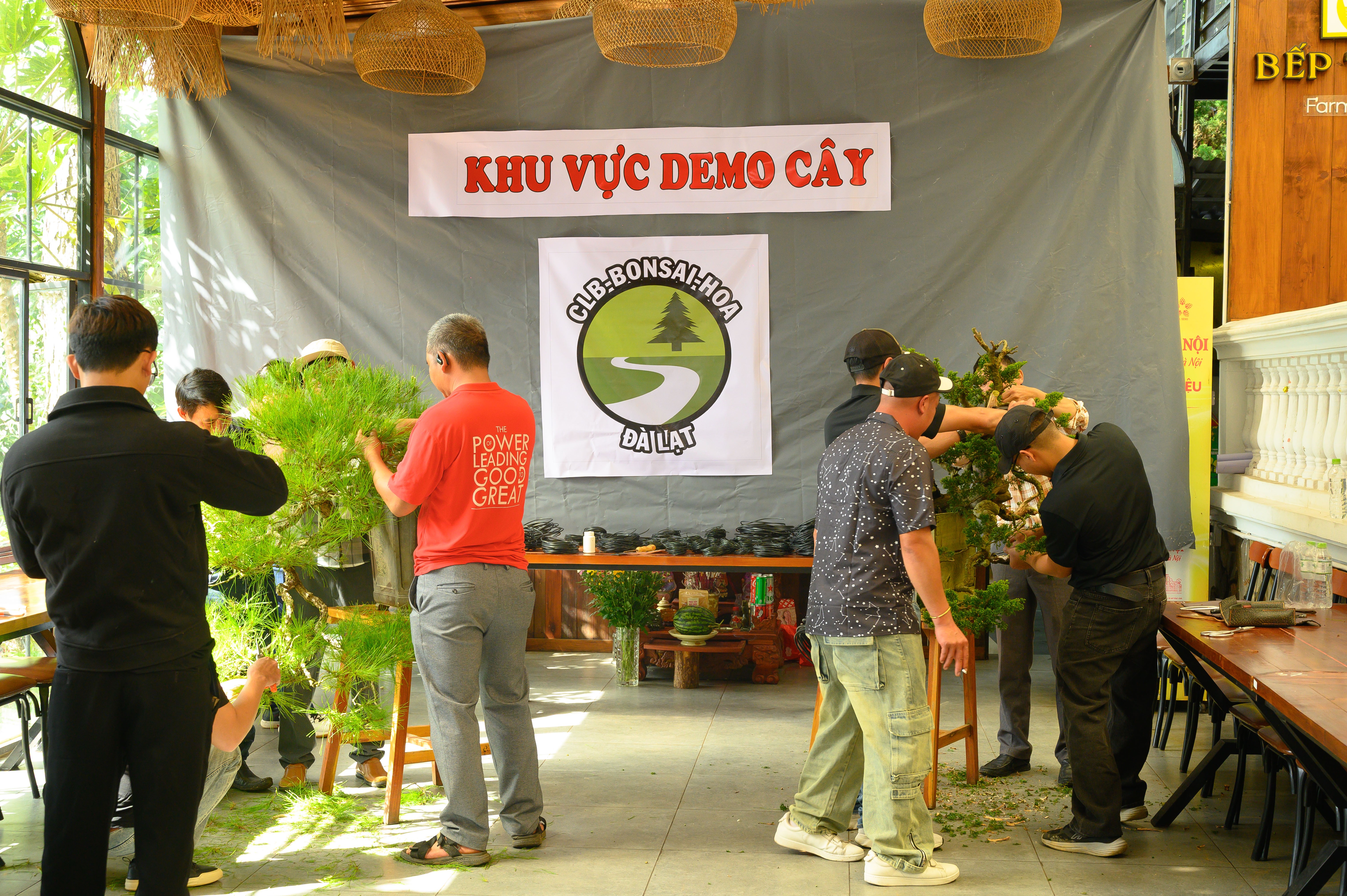 CLB Bonsai Hoa Đà Lạt nhìn lại hành trình 6 năm tạo dựng một sân chơi xanh CLB Bonsai Hoa Đà Lạt nhìn lại hành trình 6 năm tạo dựng một sân chơi xanh