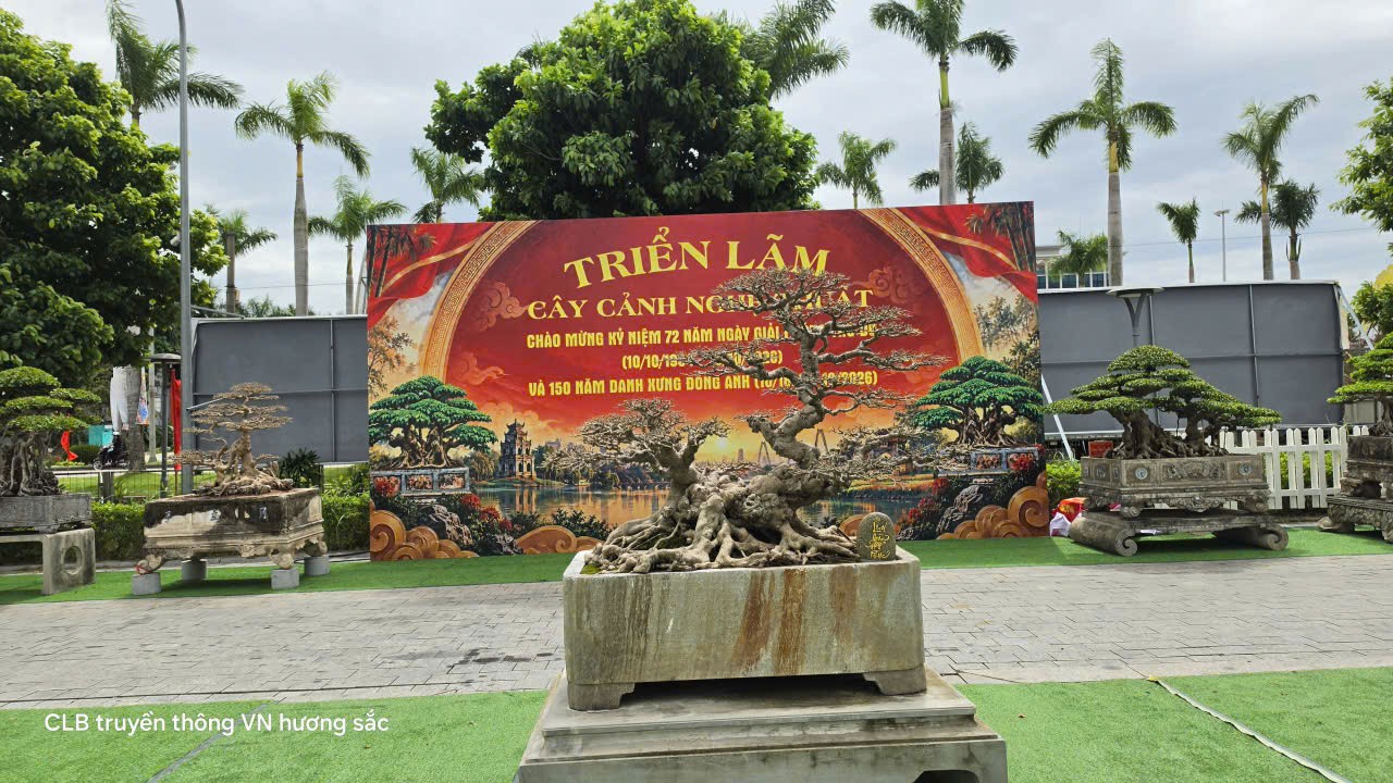 Rộn ràng hội tụ về Triển lãm cây cảnh nghệ thuật Đông Anh năm 2026
