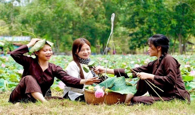 Sen Đồng Tháp: Từ giá trị bản địa đến khát vọng dẫn dắt ngành sen Việt Nam Sen Đồng Tháp: Từ giá trị bản địa đến khát vọng dẫn dắt ngành sen Việt Nam