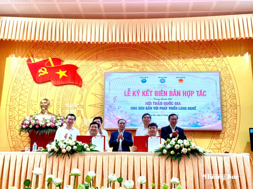 Sen Đồng Tháp: Từ giá trị bản địa đến khát vọng dẫn dắt ngành sen Việt Nam Sen Đồng Tháp: Từ giá trị bản địa đến khát vọng dẫn dắt ngành sen Việt Nam