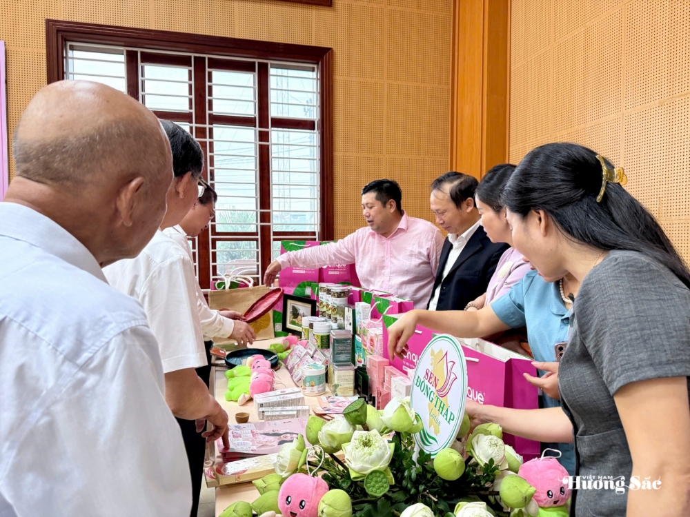 Sen Đồng Tháp: Từ giá trị bản địa đến khát vọng dẫn dắt ngành sen Việt Nam Sen Đồng Tháp: Từ giá trị bản địa đến khát vọng dẫn dắt ngành sen Việt Nam
