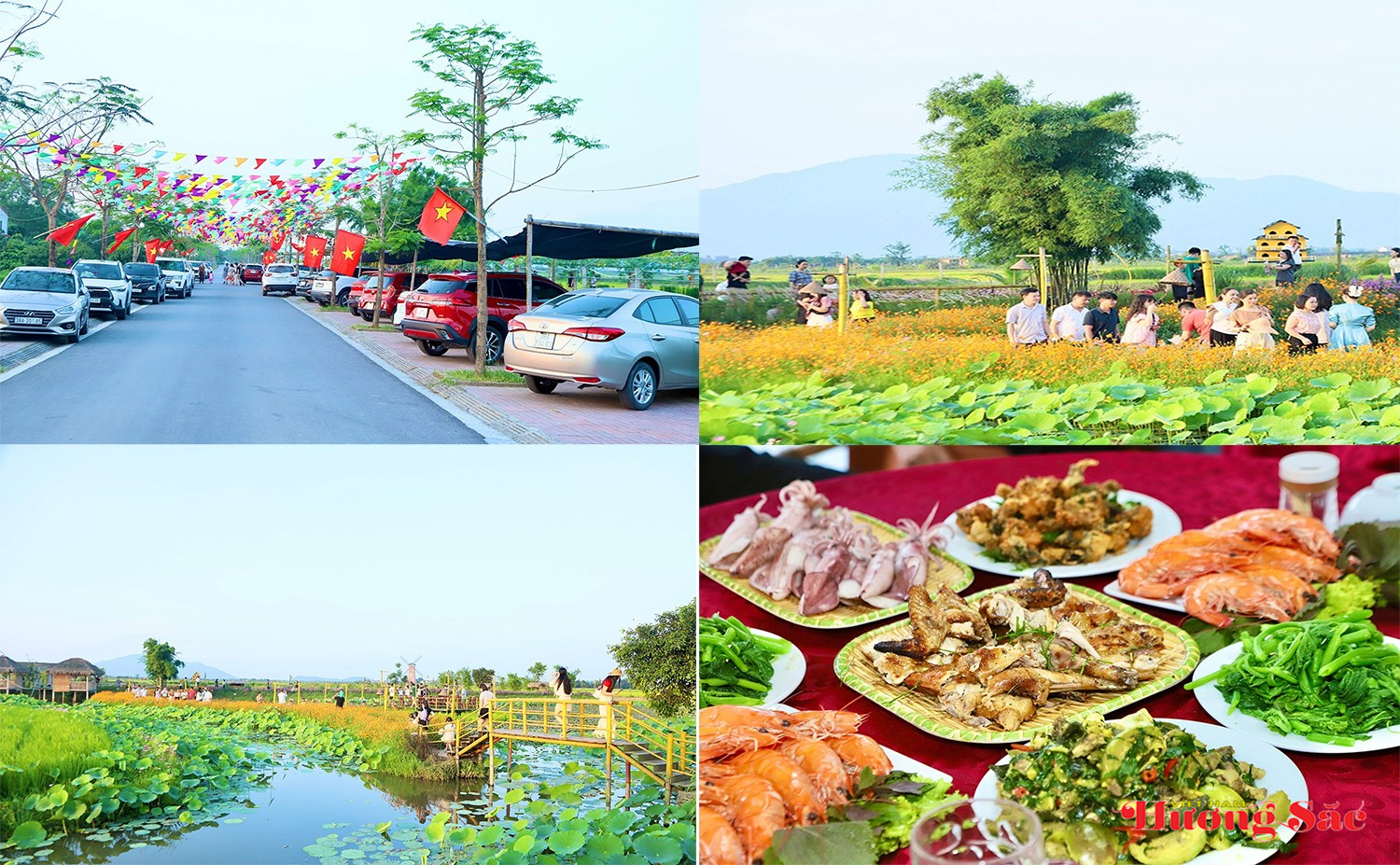 Hà Tĩnh: Đánh thức tiềm năng thiên nhiên từ du lịch sinh thái, trải nghiệm Hà Tĩnh: Đánh thức tiềm năng thiên nhiên từ du lịch sinh thái, trải nghiệm
