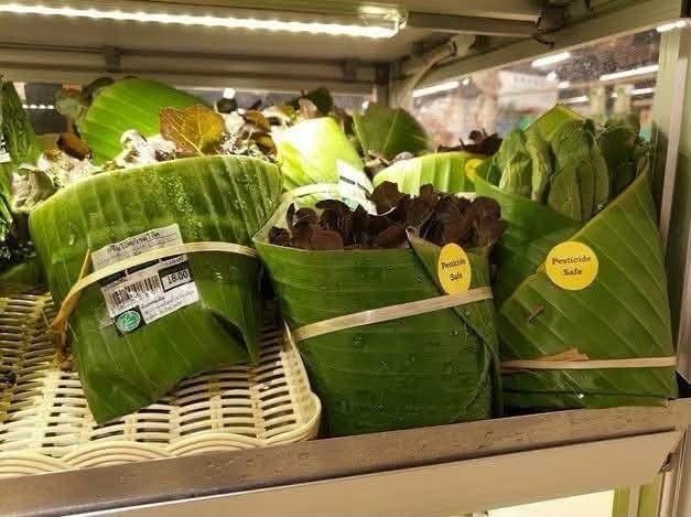 Siêu thị Thái Lan dùng lá chuối thay bao bì nhựa, mở hướng cho bán lẻ xanh