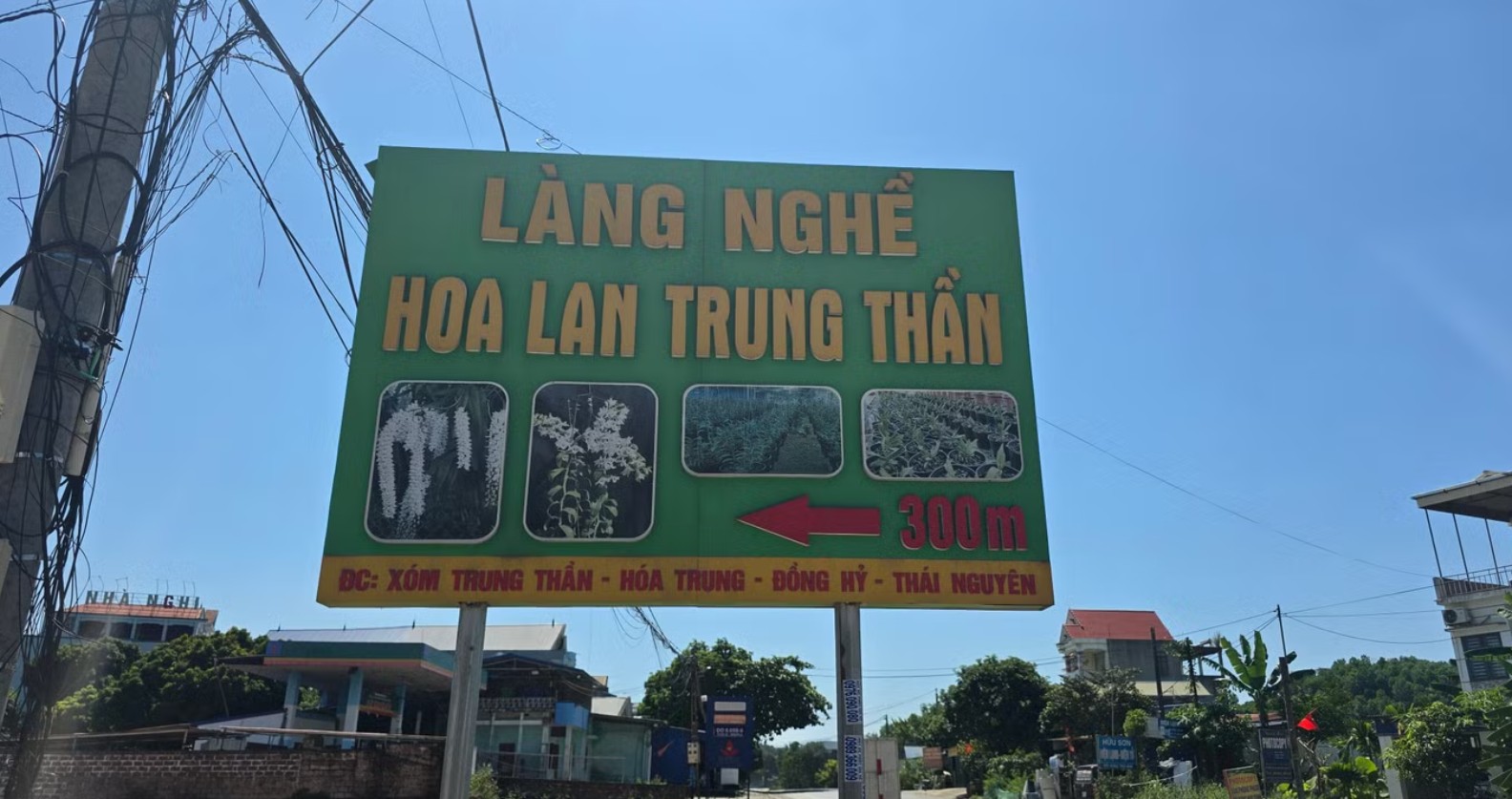 Sau cơn sốt lan đột biến, nhiều nhà vườn trắng tay
