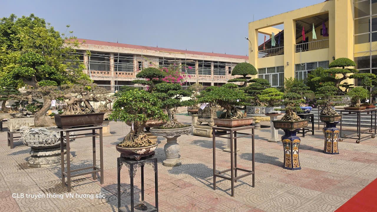 Hội Sinh vật cảnh xã Mê Linh tổ chức Đại hội lần thứ I, nhiệm kỳ 2026-2031