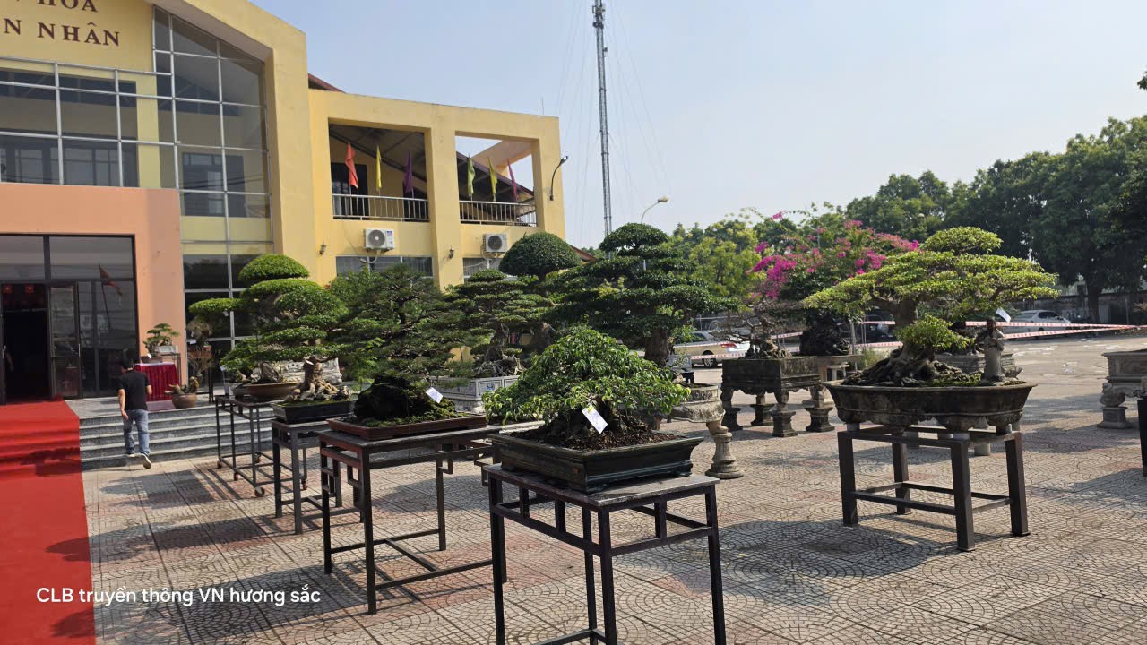 Hội Sinh vật cảnh xã Mê Linh tổ chức Đại hội lần thứ I, nhiệm kỳ 2026-2031