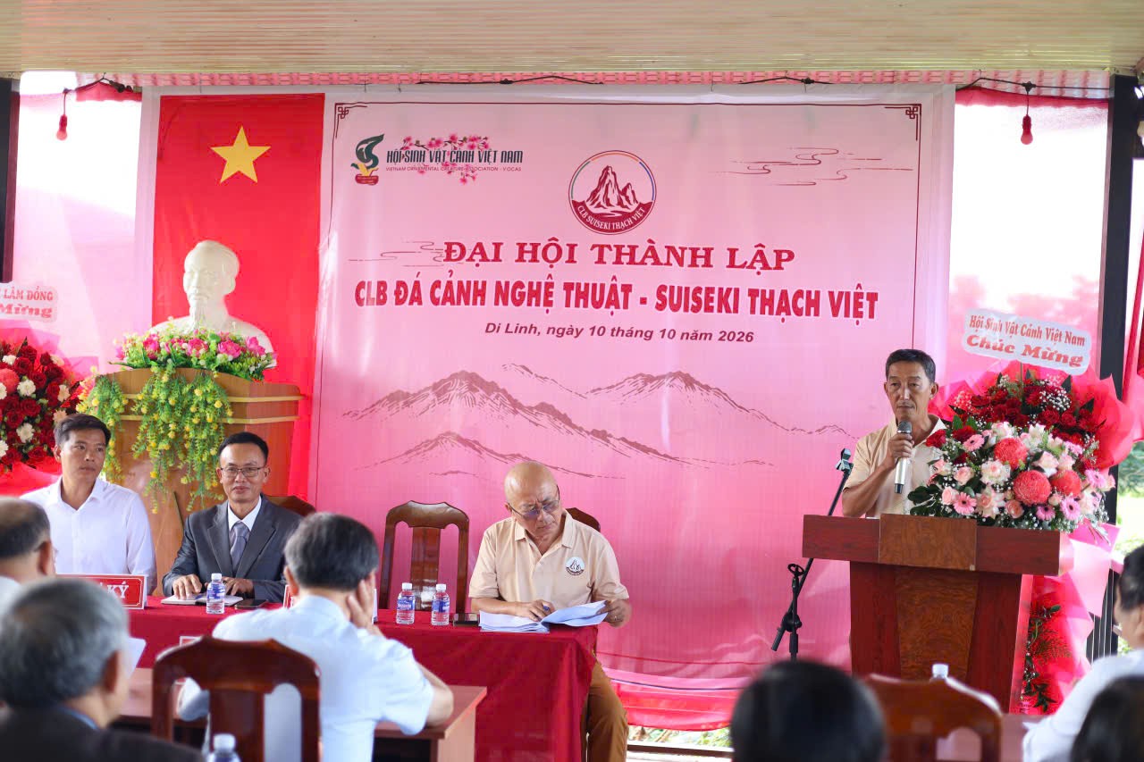 Đại hội thành lập CLB Đá cảnh nghệ thuật – Suiseki Thạch Việt: dấu mốc mới trong hành trình phát triển nghệ thuật đá cảnh Việt Nam Đại hội thành lập CLB Đá cảnh nghệ thuật – Suiseki Thạch Việt: dấu mốc mới trong hành trình phát triển nghệ thuật đá cảnh Việt Nam