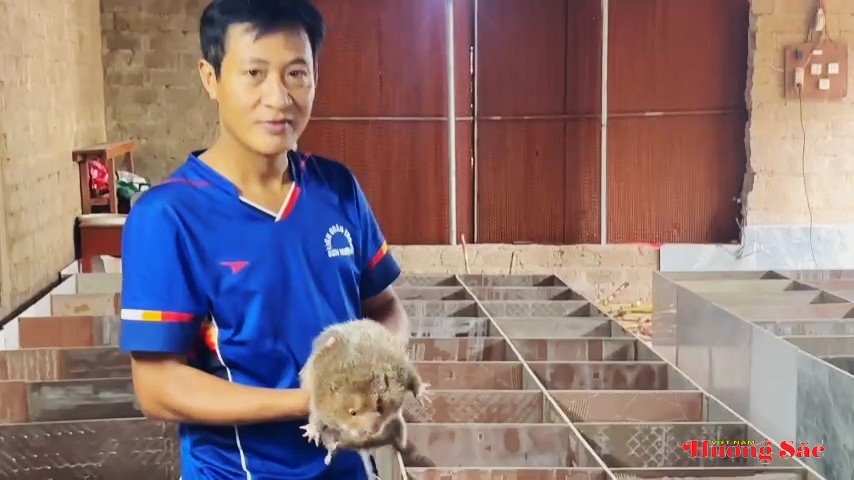 Nuôi dúi sau giờ dạy, thầy giáo Hà Tĩnh mở ra hướng làm kinh tế mới Nuôi dúi sau giờ dạy, thầy giáo Hà Tĩnh mở ra hướng làm kinh tế mới