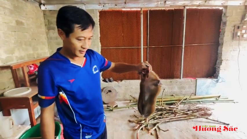 Nuôi dúi sau giờ dạy, thầy giáo Hà Tĩnh mở ra hướng làm kinh tế mới Nuôi dúi sau giờ dạy, thầy giáo Hà Tĩnh mở ra hướng làm kinh tế mới