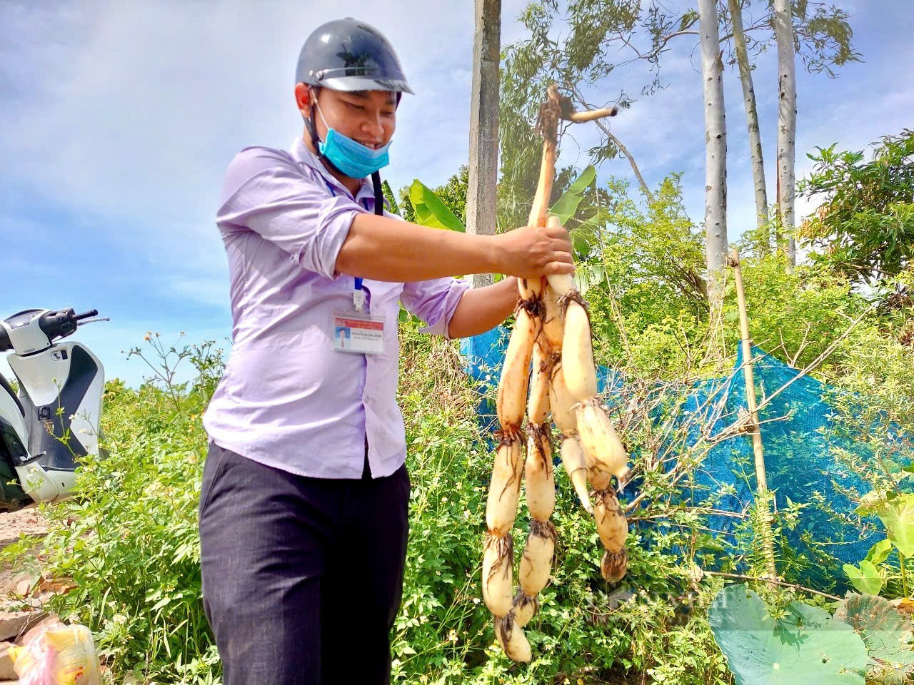 Sen Hải Phòng: Đánh thức giá trị đa ngành từ chuyển đổi số Sen Hải Phòng: Đánh thức giá trị đa ngành từ chuyển đổi số