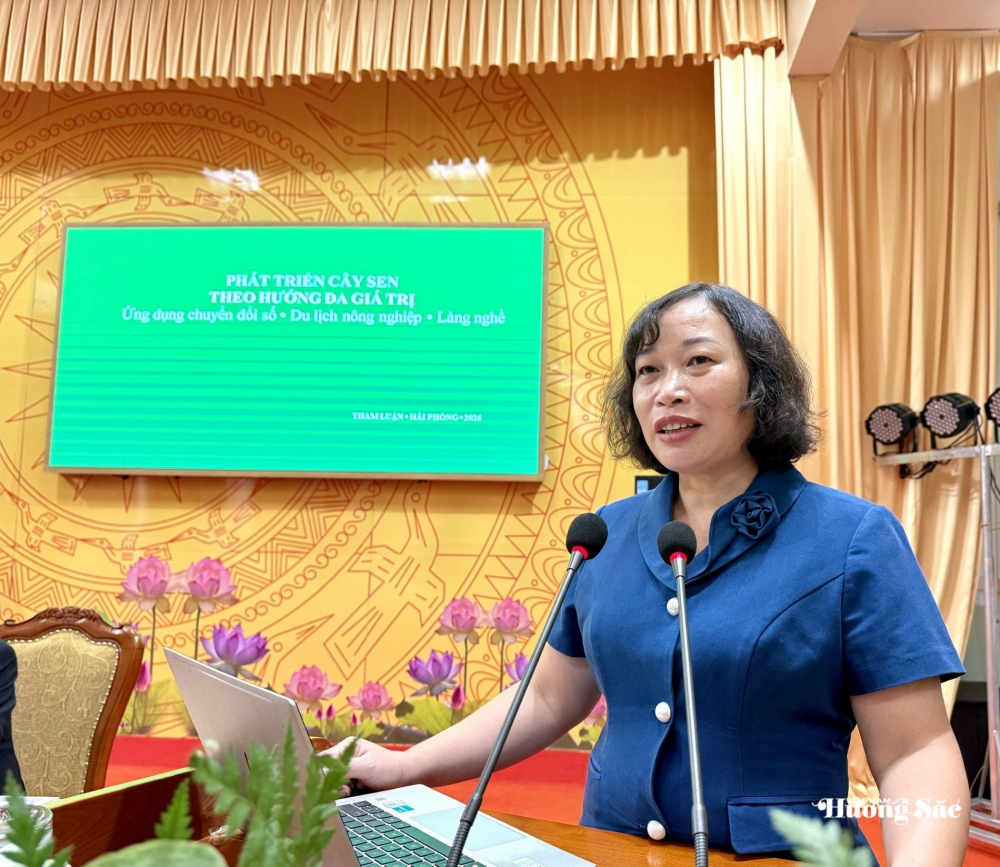 Sen Hải Phòng: Đánh thức giá trị đa ngành từ chuyển đổi số Sen Hải Phòng: Đánh thức giá trị đa ngành từ chuyển đổi số