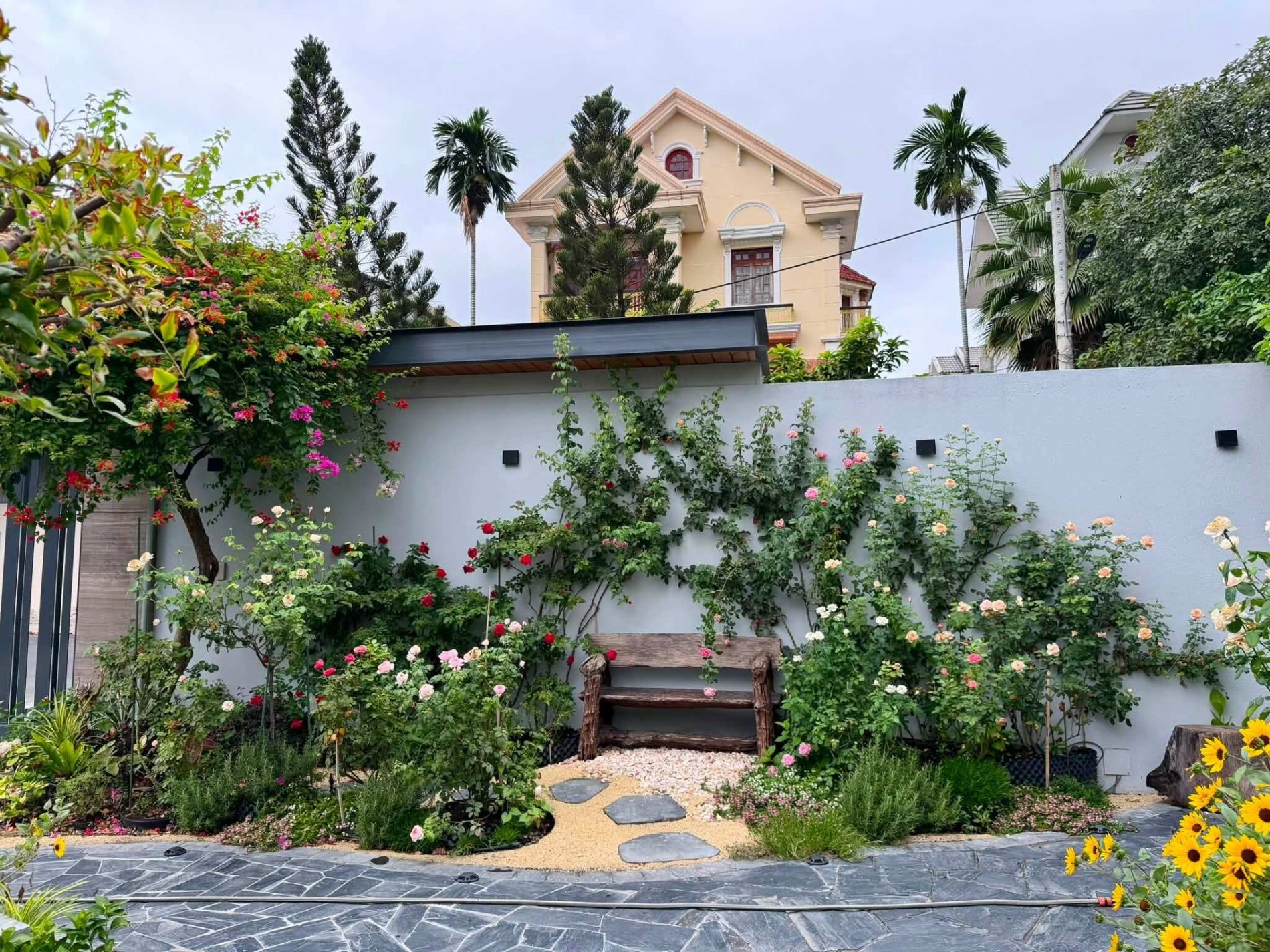 Khu vườn 700m² giữa Sài Gòn: Sân thượng trĩu rau quả, dưới đất 20 giống hồng khoe sắc Khu vườn 700m² giữa Sài Gòn: Sân thượng trĩu rau quả, dưới đất 20 giống hồng khoe sắc