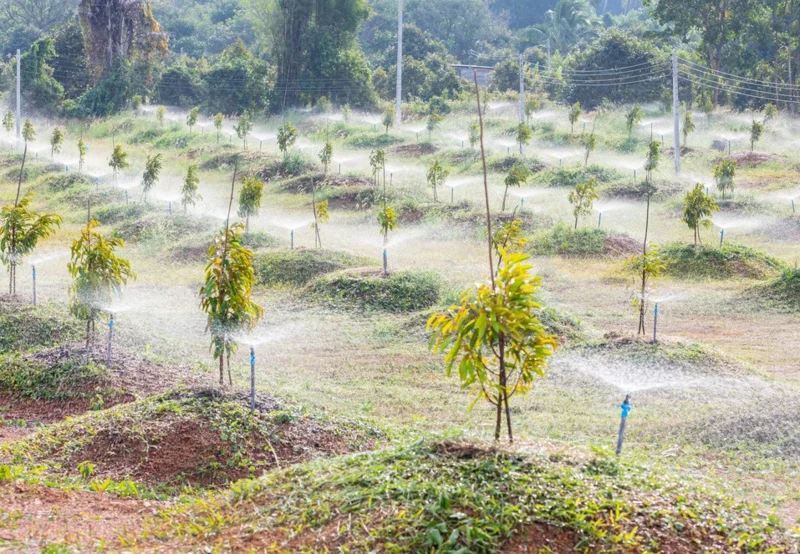 Từ “trông trời, trông đất” đến “trông dữ liệu”: Nông dân đổi cách làm nông Từ “trông trời, trông đất” đến “trông dữ liệu”: Nông dân đổi cách làm nông