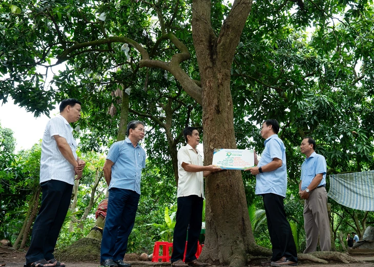 Từ “trông trời, trông đất” đến “trông dữ liệu”: Nông dân đổi cách làm nông Từ “trông trời, trông đất” đến “trông dữ liệu”: Nông dân đổi cách làm nông