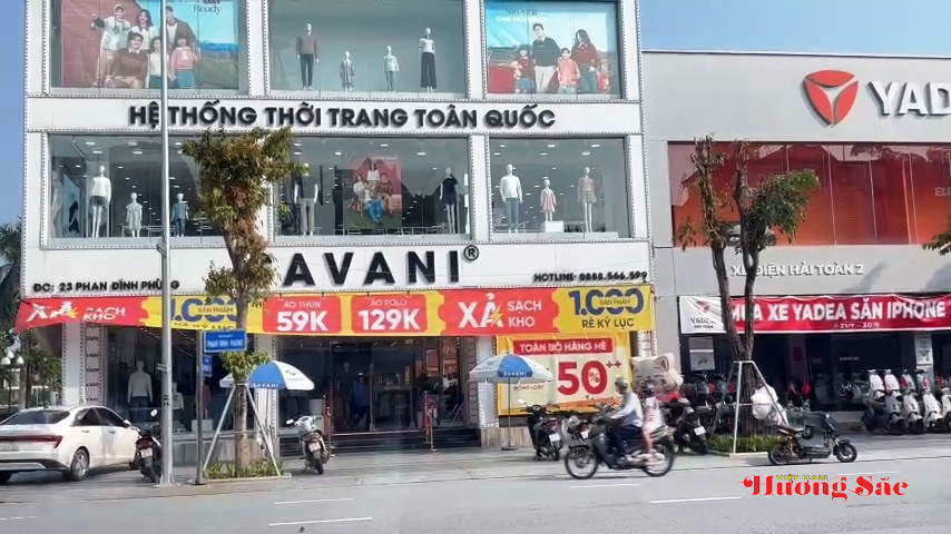 Hà Tĩnh: Tăng cường bảo vệ, ngăn chặn hành vi xâm hại cây xanh đô thị