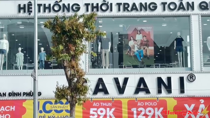Hà Tĩnh: Tăng cường bảo vệ, ngăn chặn hành vi xâm hại cây xanh đô thị