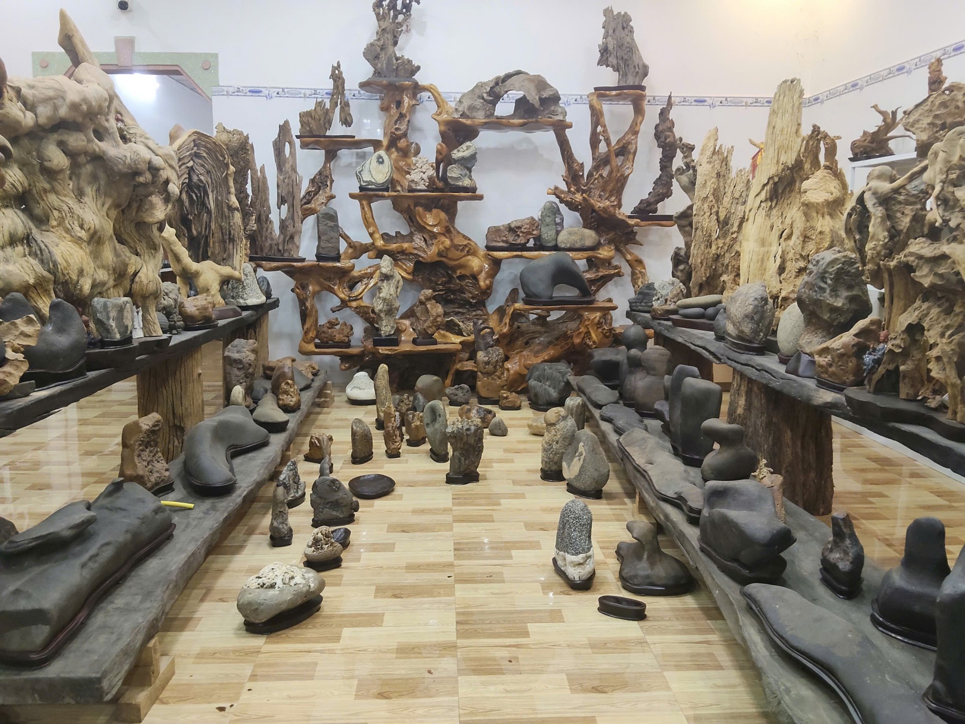 Bonsai và suiseki: kết nối nghệ thuật, phát triển kinh tế và phụng sự cộng đồng