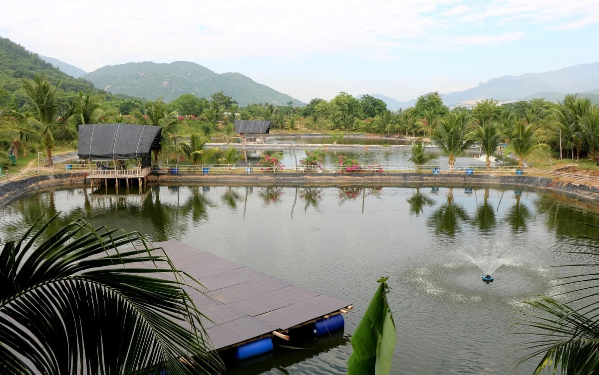 Lội ngược dòng thành công: Câu chuyện biến ao tôm thất bát thành điểm hẹn sinh thái thu tiền tỷ Lội ngược dòng thành công: Câu chuyện biến ao tôm thất bát thành điểm hẹn sinh thái thu tiền tỷ