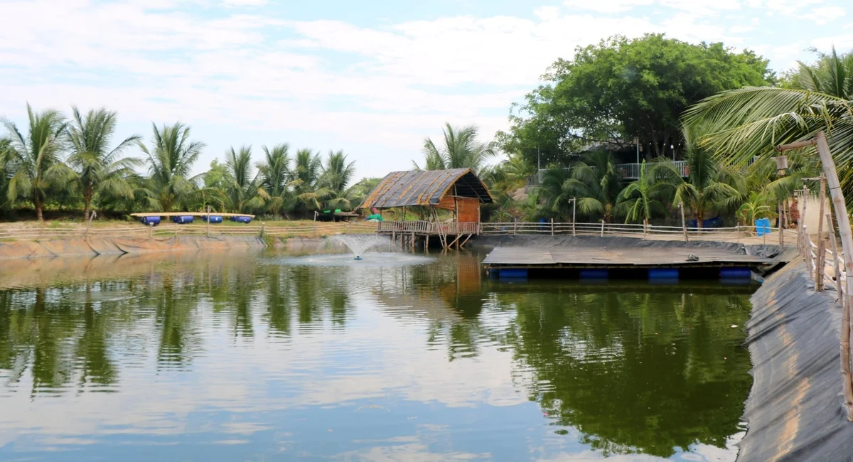 Lội ngược dòng thành công: Câu chuyện biến ao tôm thất bát thành điểm hẹn sinh thái thu tiền tỷ Lội ngược dòng thành công: Câu chuyện biến ao tôm thất bát thành điểm hẹn sinh thái thu tiền tỷ