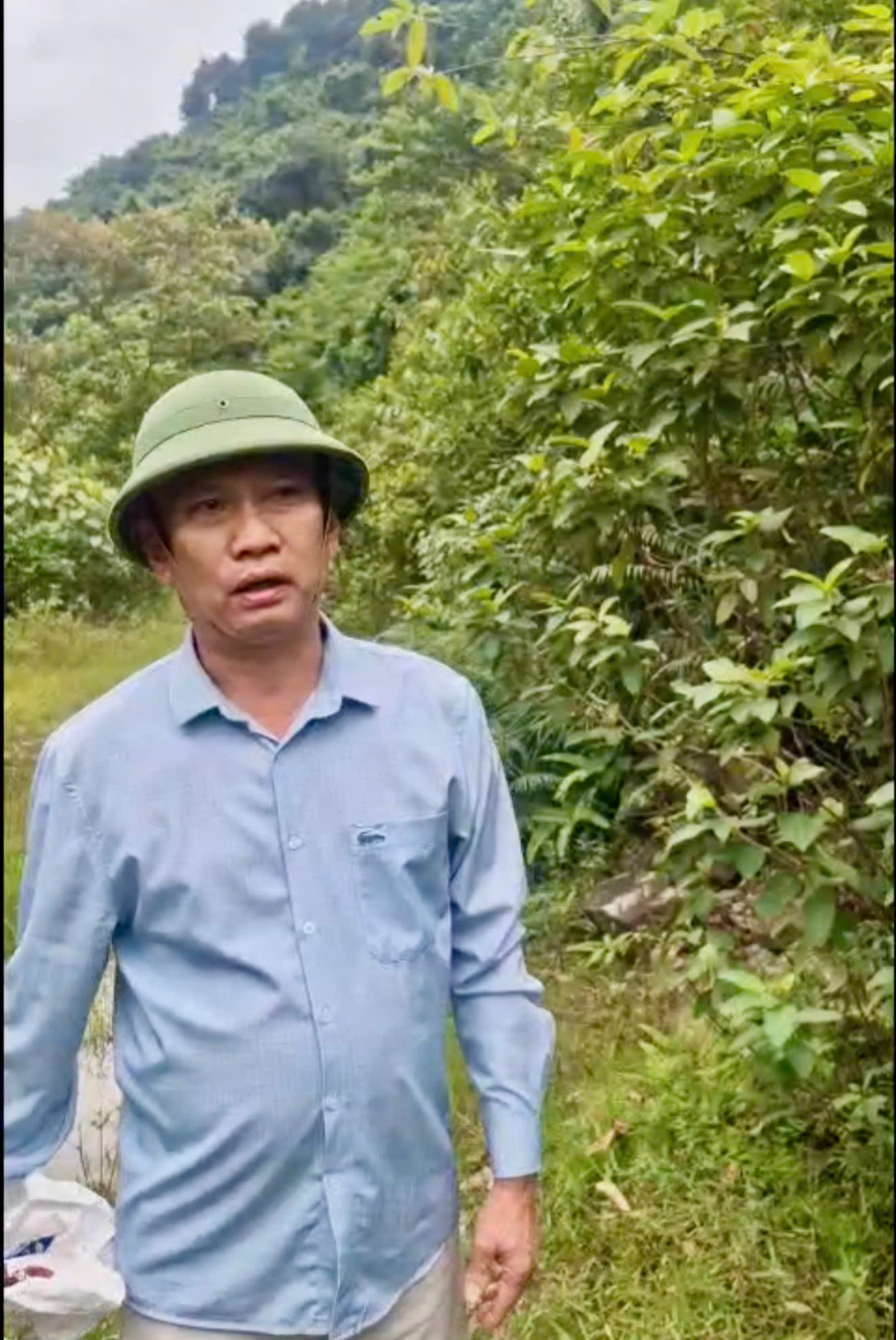 Quảng Trị: Người dân nhờ kiểm lâm đưa rắn hổ mang chúa trở về môi trường tự nhiên