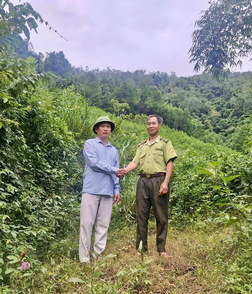 Quảng Trị: Người dân nhờ kiểm lâm đưa rắn hổ mang chúa trở về môi trường tự nhiên