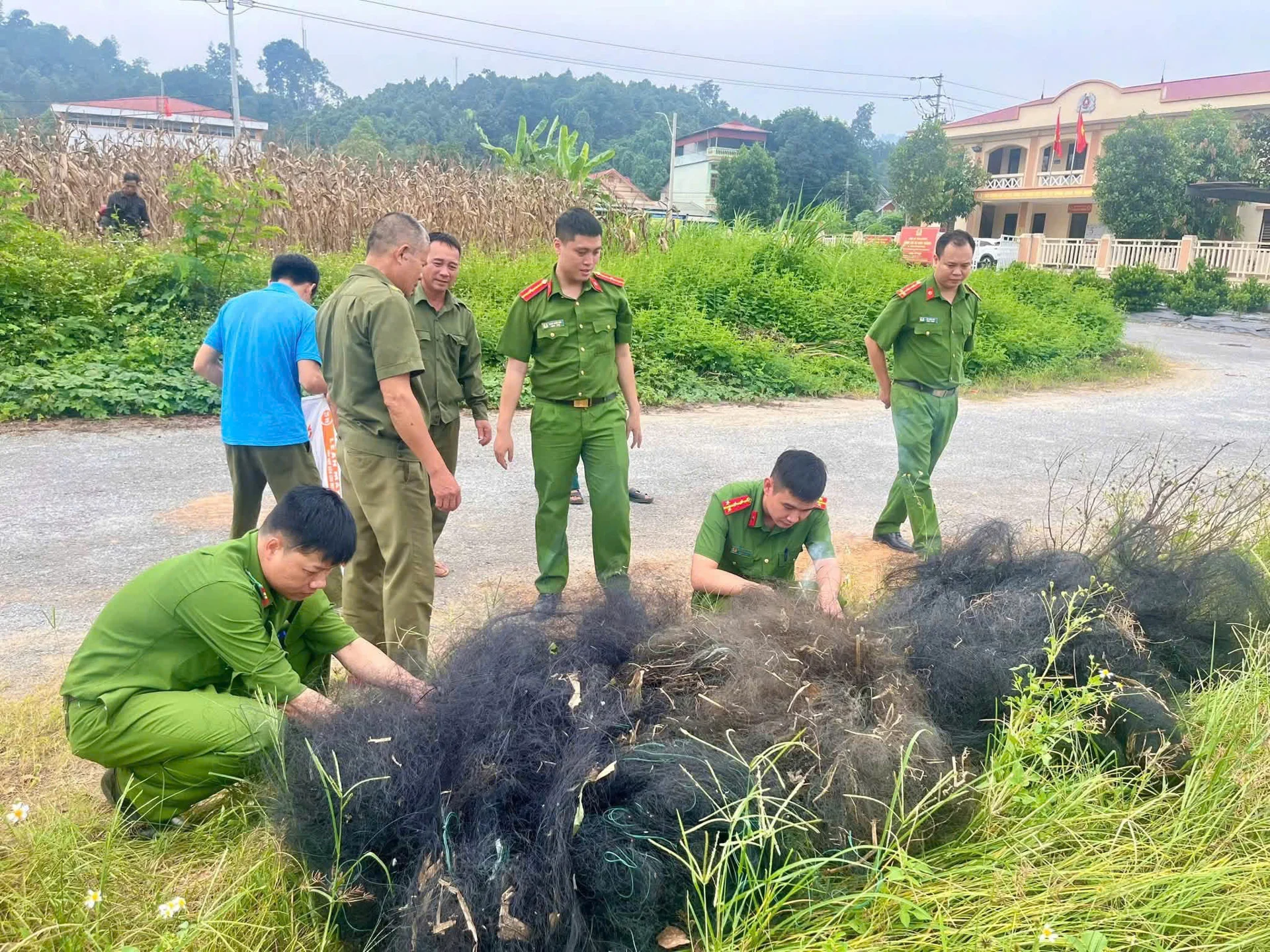 Phát hiện hàng loạt điểm bẫy chim trời, tiêu hủy gần 400m lưới tàng hình Phát hiện hàng loạt điểm bẫy chim trời, tiêu hủy gần 400m lưới tàng hình