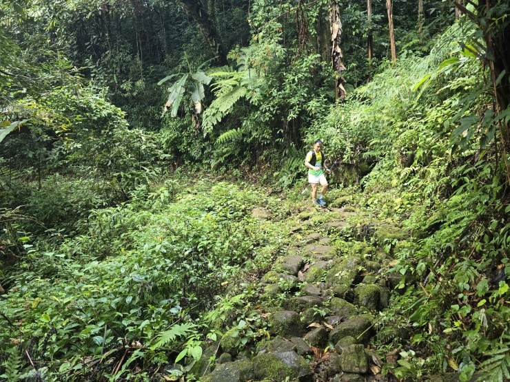 Trekking trên con đường đá cổ hơn 100 năm tuổi ở Tây Bắc Trekking trên con đường đá cổ hơn 100 năm tuổi ở Tây Bắc