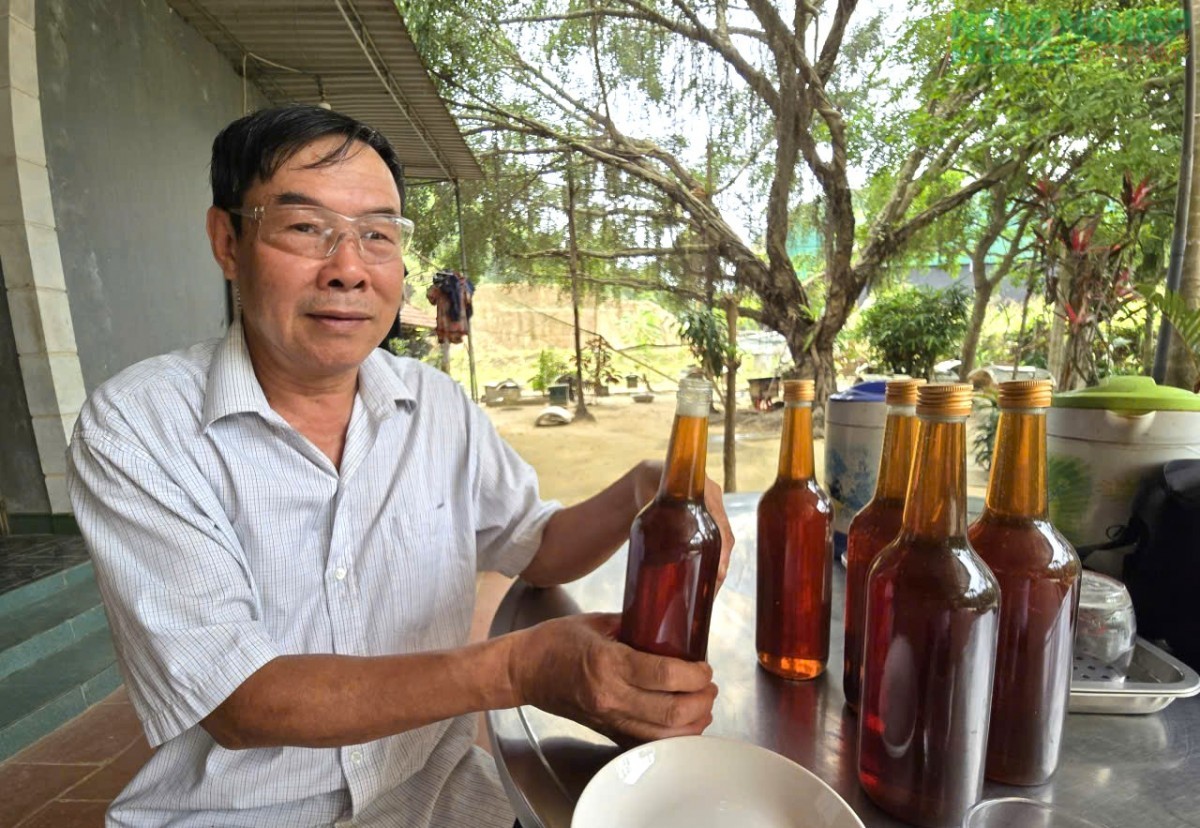 Lão nông hơn 40 năm gắn bó với nghề nuôi ong, thu hàng trăm lít mật mỗi năm ở xứ Nghệ