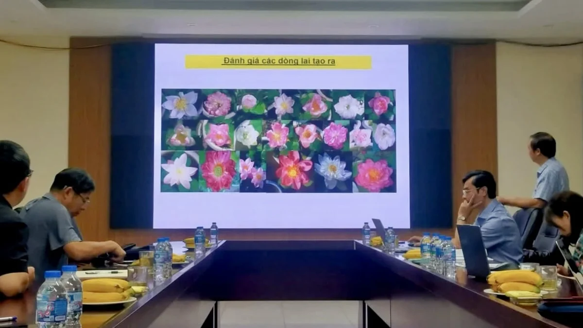 Việt Nam - Trung Quốc trao đổi kinh nghiệm chọn tạo giống hoa theo nhu cầu thị trường Việt Nam - Trung Quốc trao đổi kinh nghiệm chọn tạo giống hoa theo nhu cầu thị trường
