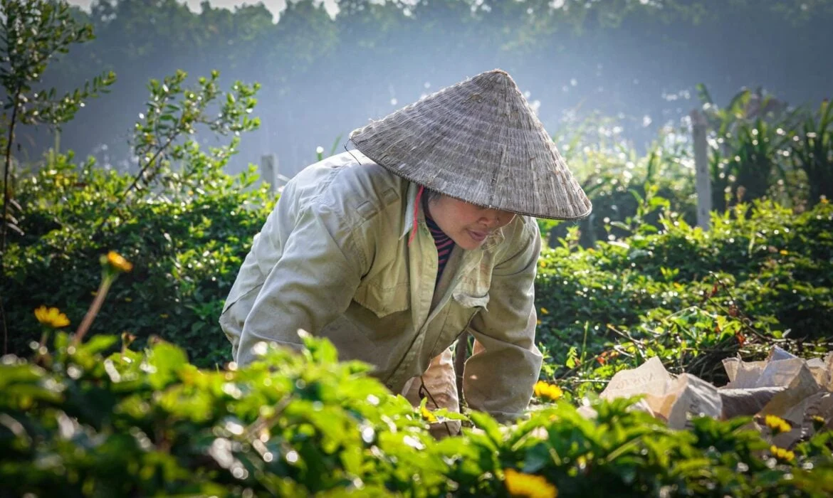 Ninh Bình đưa mục tiêu giảm phát thải vào chiến lược phát triển du lịch Ninh Bình đưa mục tiêu giảm phát thải vào chiến lược phát triển du lịch