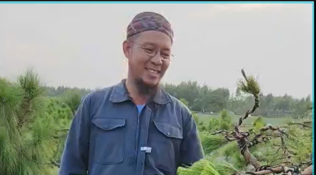 Khát vọng đưa cây thông nghệ thuật Việt vươn xa của nhà vườn Minh Râu Khát vọng đưa cây thông nghệ thuật Việt vươn xa của nhà vườn Minh Râu