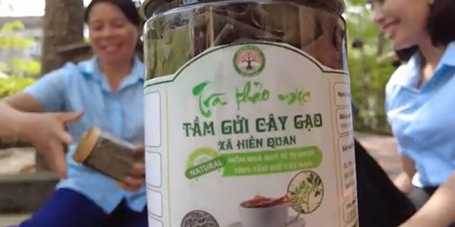 Từ cây dại mọc trên cây gạo, người dân Phú Thọ thu hàng trăm triệu đồng mỗi năm