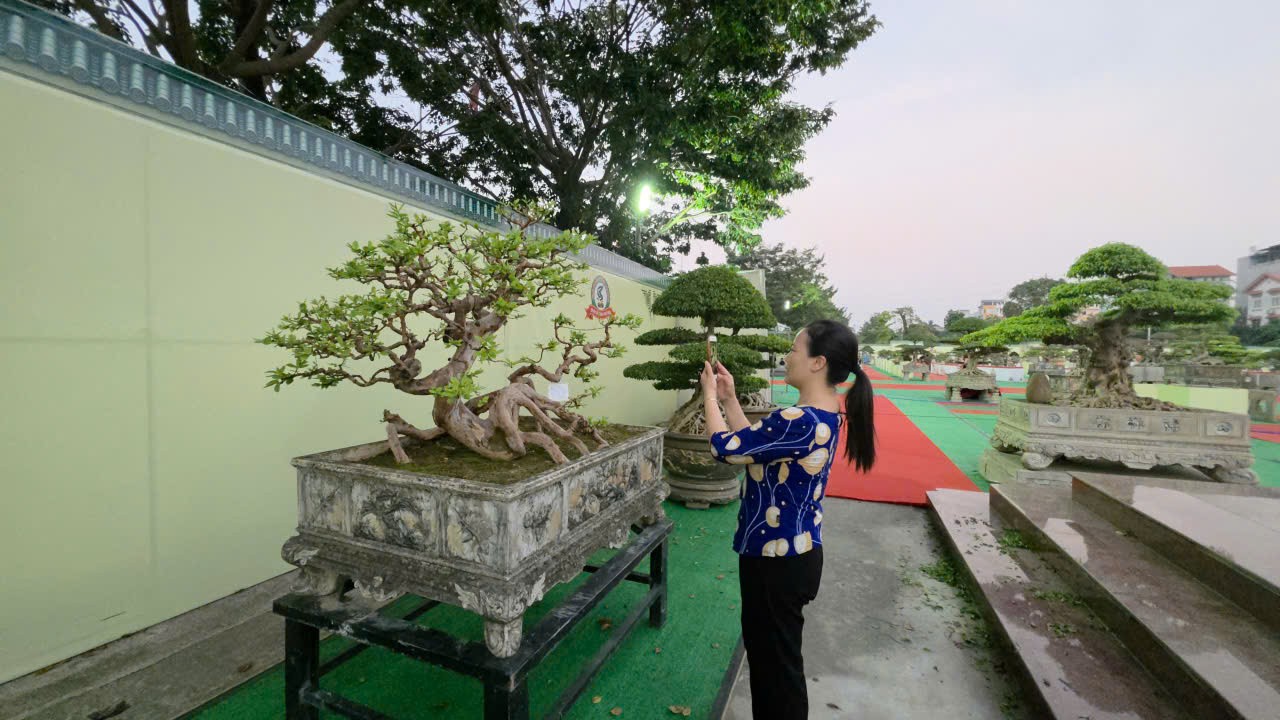 Gần 600 tác phẩm tại Giao lưu, triển lãm sinh vật cảnh CLB Bonsai Yên Phong mở rộng lần thứ II năm 2026 Gần 600 tác phẩm tại Giao lưu, triển lãm sinh vật cảnh CLB Bonsai Yên Phong mở rộng lần thứ II năm 2026