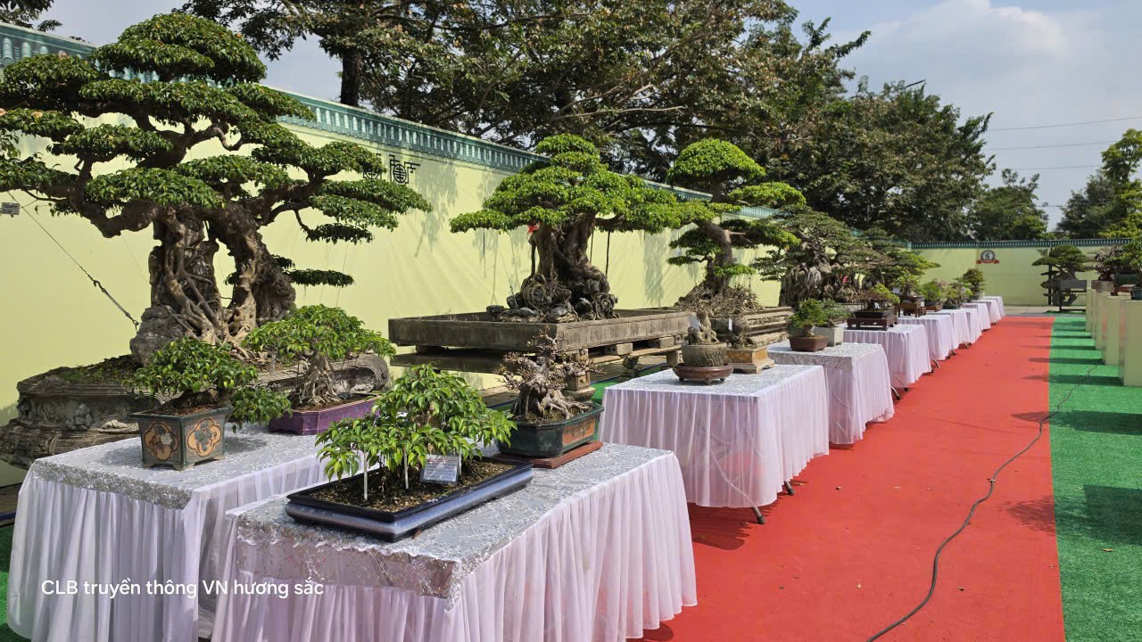 Gần 600 tác phẩm tại Giao lưu, triển lãm sinh vật cảnh CLB Bonsai Yên Phong mở rộng lần thứ II năm 2026 Gần 600 tác phẩm tại Giao lưu, triển lãm sinh vật cảnh CLB Bonsai Yên Phong mở rộng lần thứ II năm 2026