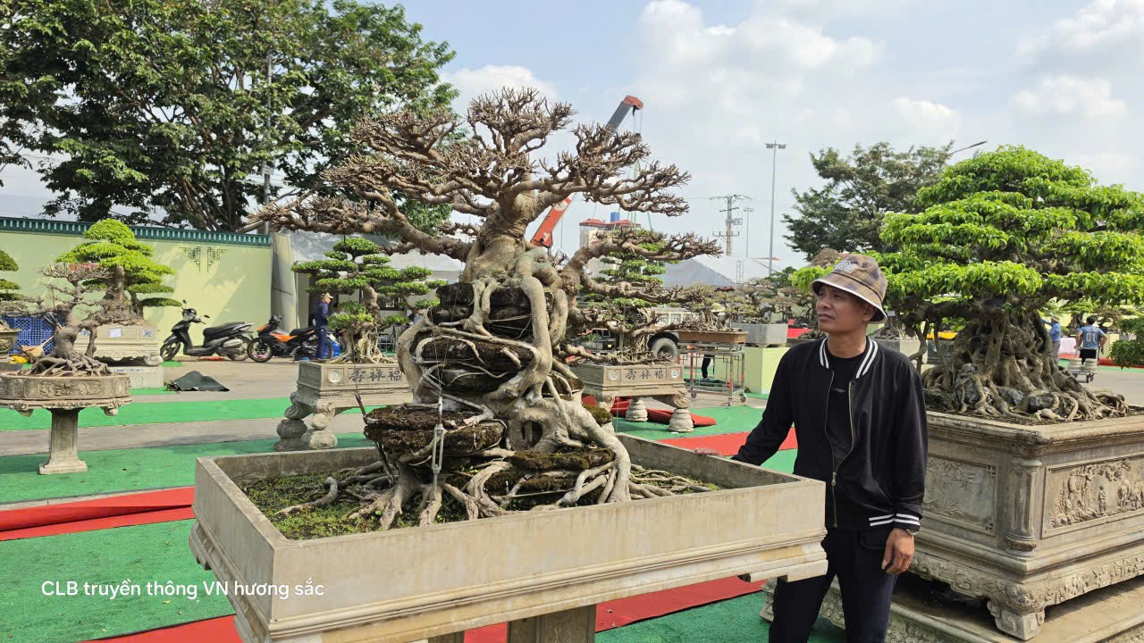 Gần 600 tác phẩm tại Giao lưu, triển lãm sinh vật cảnh CLB Bonsai Yên Phong mở rộng lần thứ II năm 2026 Gần 600 tác phẩm tại Giao lưu, triển lãm sinh vật cảnh CLB Bonsai Yên Phong mở rộng lần thứ II năm 2026
