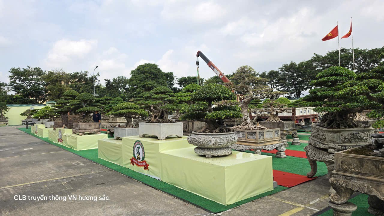 Gần 600 tác phẩm tại Giao lưu, triển lãm sinh vật cảnh CLB Bonsai Yên Phong mở rộng lần thứ II năm 2026 Gần 600 tác phẩm tại Giao lưu, triển lãm sinh vật cảnh CLB Bonsai Yên Phong mở rộng lần thứ II năm 2026