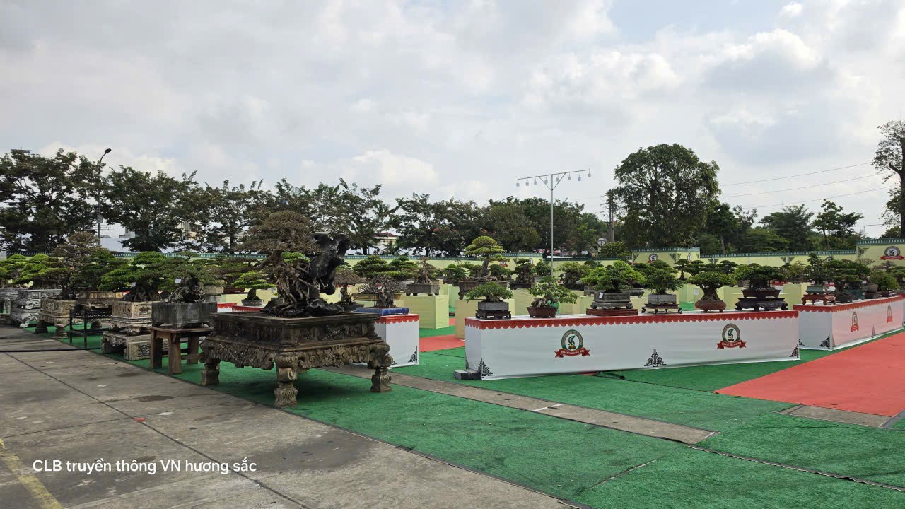 Gần 600 tác phẩm tại Giao lưu, triển lãm sinh vật cảnh CLB Bonsai Yên Phong mở rộng lần thứ II năm 2026 Gần 600 tác phẩm tại Giao lưu, triển lãm sinh vật cảnh CLB Bonsai Yên Phong mở rộng lần thứ II năm 2026