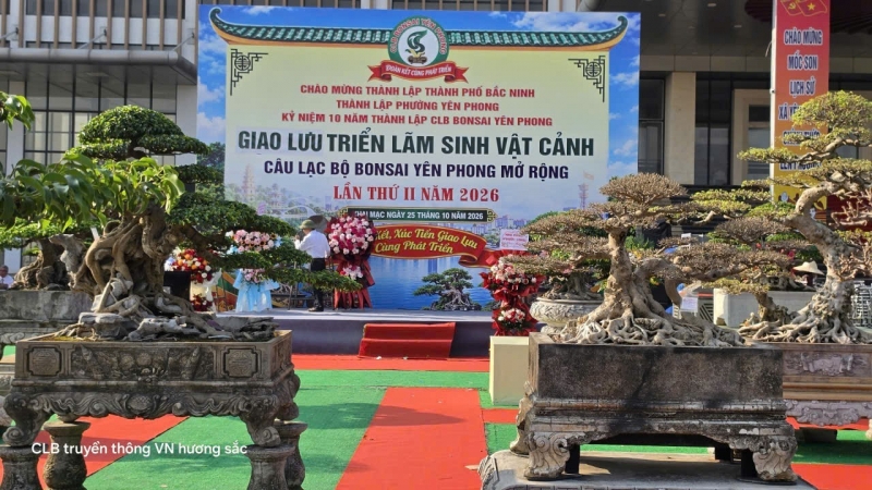 Gần 600 tác phẩm tại Giao lưu, triển lãm sinh vật cảnh CLB Bonsai Yên Phong mở rộng lần thứ II năm 2026