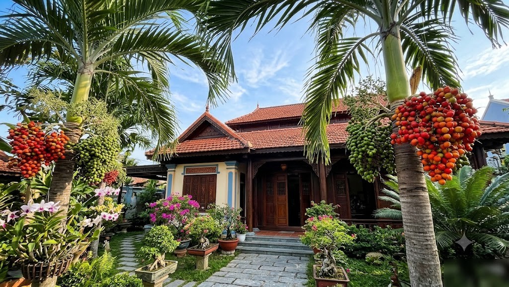 Cau cảnh trước cổng: Loài cây giữ phúc, đón tài lộc và bình an cho gia đạo Cau cảnh trước cổng: Loài cây giữ phúc, đón tài lộc và bình an cho gia đạo