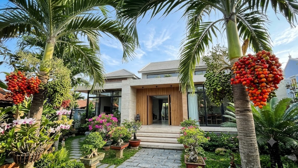 Cau cảnh trước cổng: Loài cây giữ phúc, đón tài lộc và bình an cho gia đạo Cau cảnh trước cổng: Loài cây giữ phúc, đón tài lộc và bình an cho gia đạo