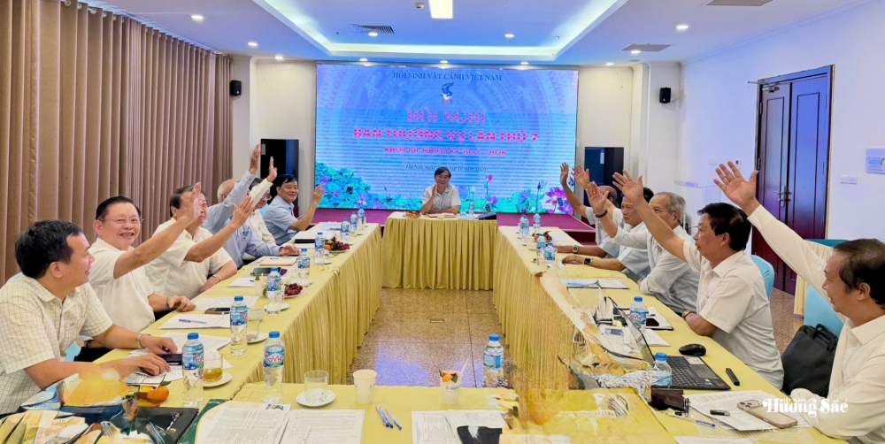 Hội nghị Ban Thường vụ Hội SVC Việt Nam lần thứ 7: Thống nhất các nội dung chuẩn bị Đại hội khóa VIII