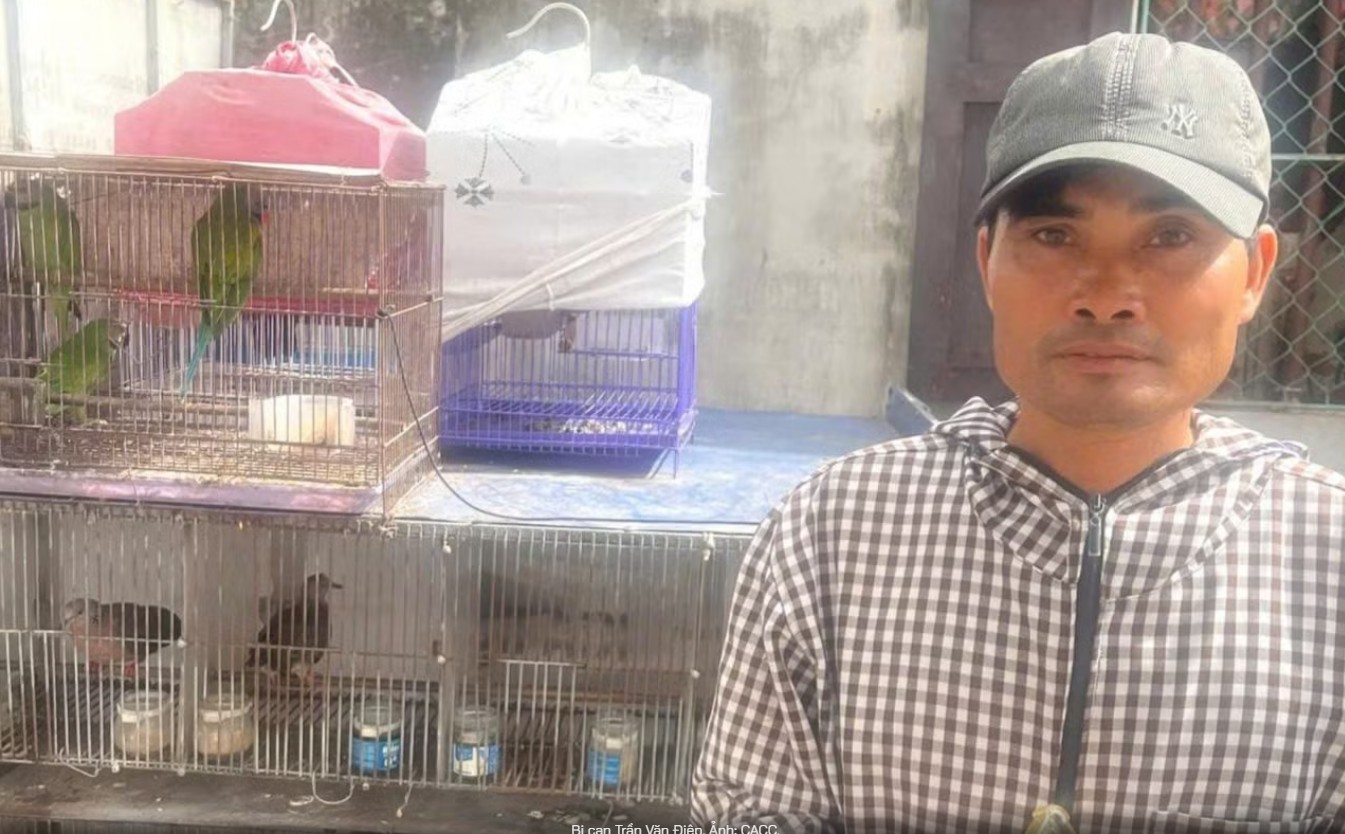 Khởi tố vụ án mua bán 36 cá thể chim hoang dã tại Ninh Bình