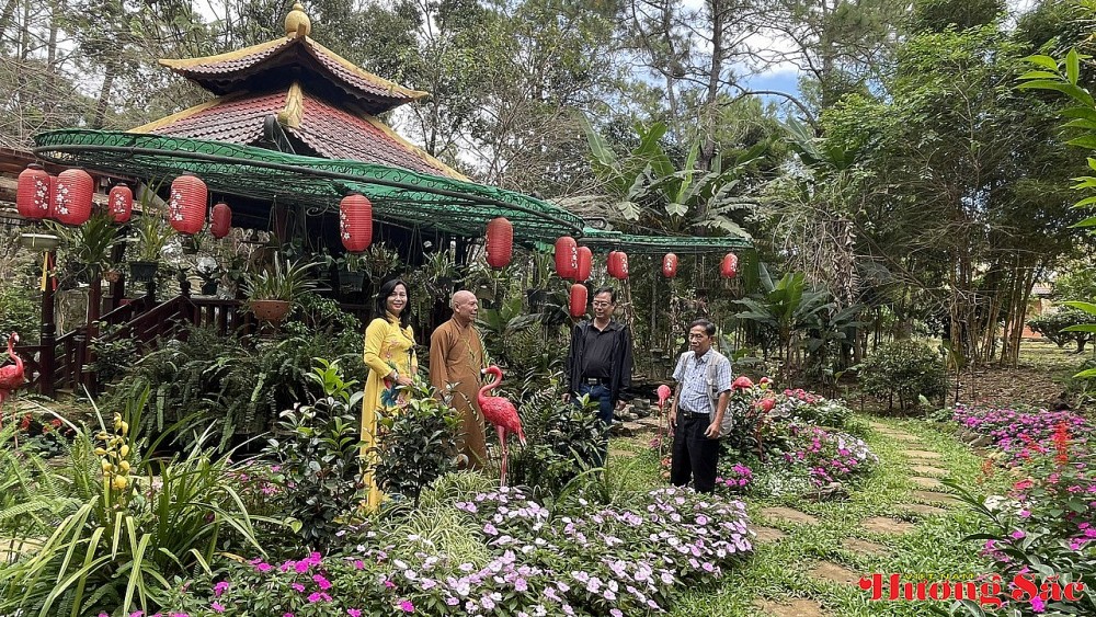 Bình minh bên 125 gốc chè 70 năm tuổi ở chùa Khánh Lâm, Măng Đen Bình minh bên 125 gốc chè 70 năm tuổi ở chùa Khánh Lâm, Măng Đen