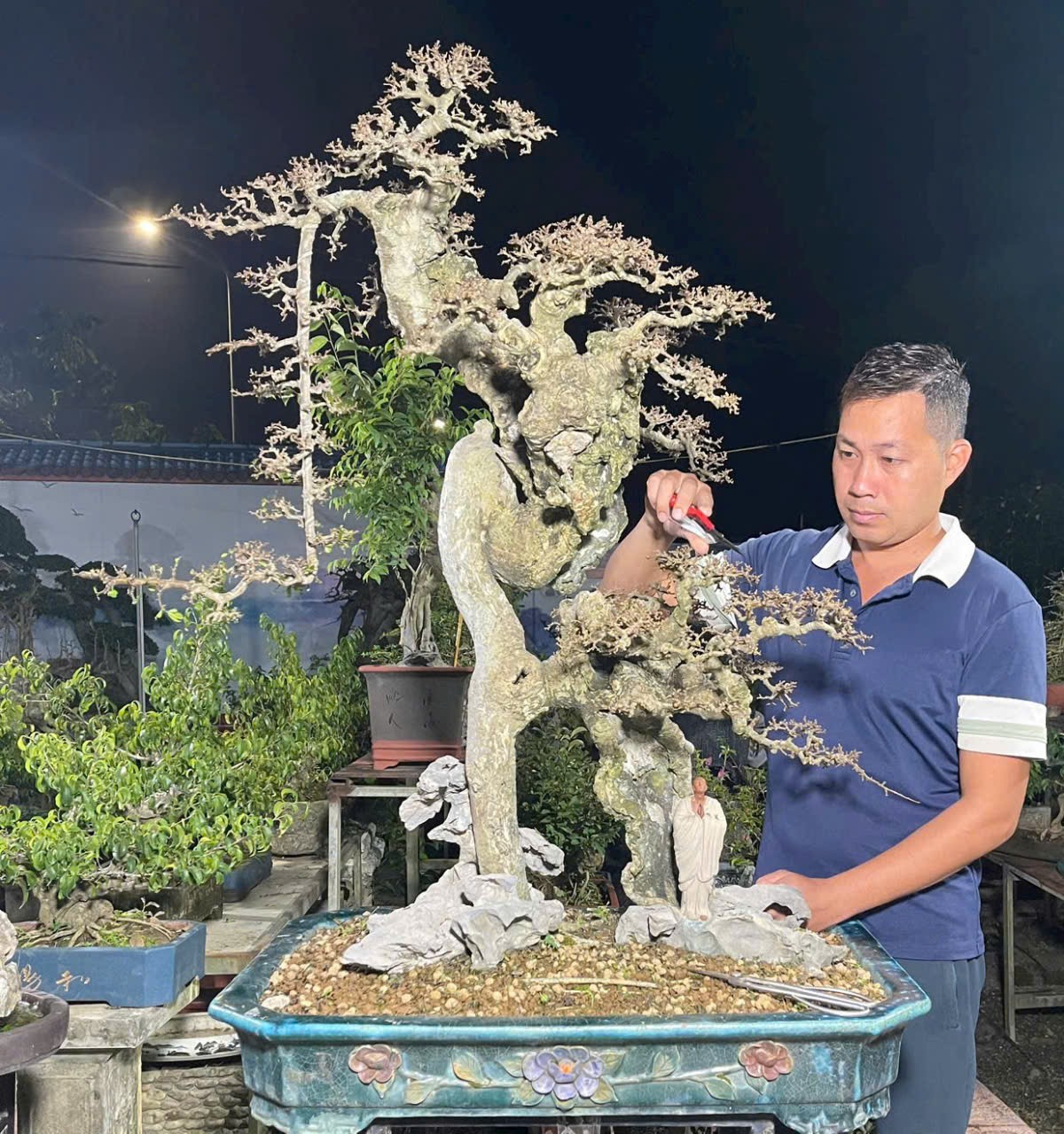 Hoàng Trang bonsai - Gắn bó với nghề từ niềm đam mê tạo tác Hoàng Trang bonsai - Gắn bó với nghề từ niềm đam mê tạo tác