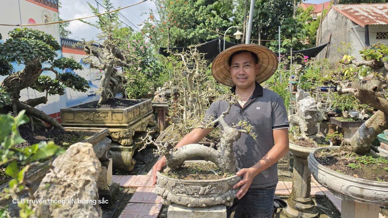 Hoàng Trang bonsai - Gắn bó với nghề từ niềm đam mê tạo tác Hoàng Trang bonsai - Gắn bó với nghề từ niềm đam mê tạo tác