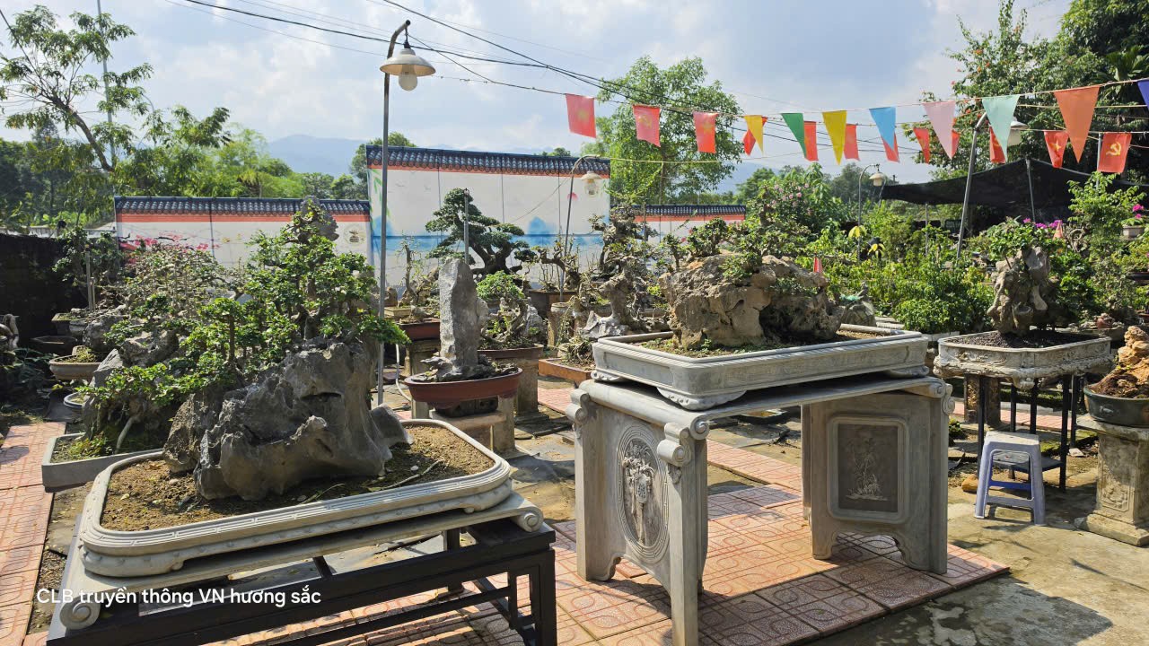 Hoàng Trang bonsai - Gắn bó với nghề từ niềm đam mê tạo tác Hoàng Trang bonsai - Gắn bó với nghề từ niềm đam mê tạo tác