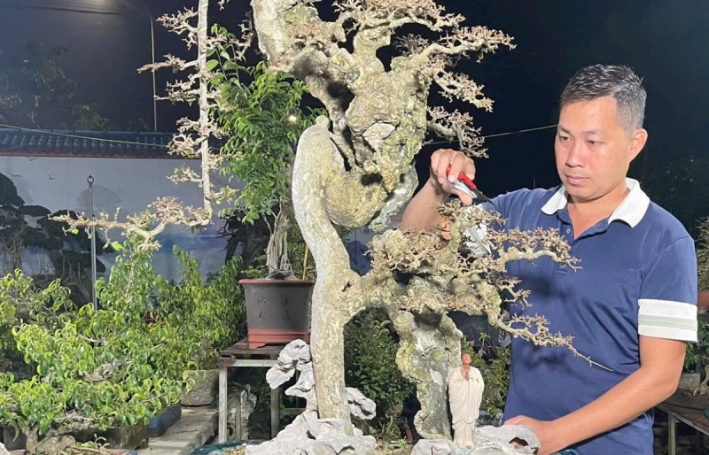 Hoàng Trang bonsai - Gắn bó với nghề từ niềm đam mê tạo tác