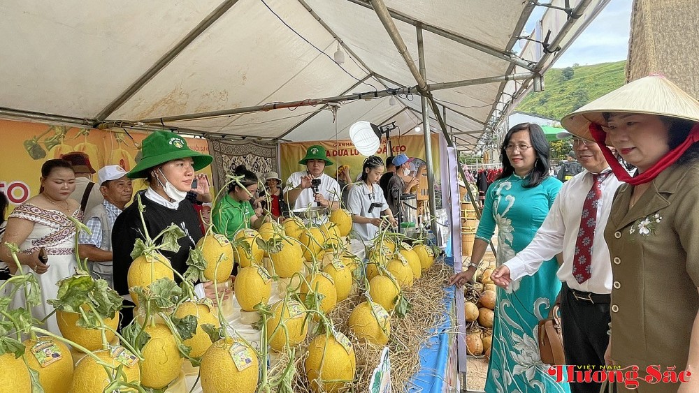 Gia Lai rực rỡ mùa hoa dã quỳ – Hẹn nhau về miền đại ngàn Chư Đăng Ya